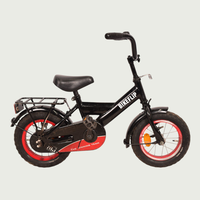 12.325 - BikeFlip
