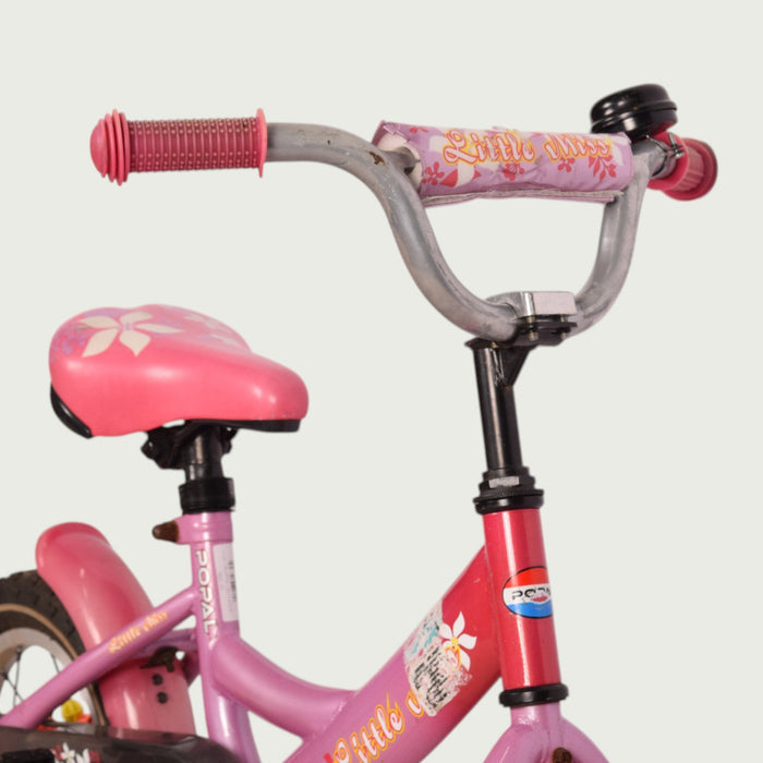 12.358 - BikeFlip