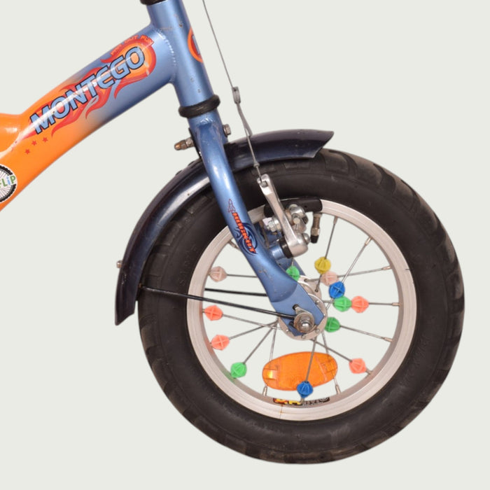 12.524 kinderfiets - BikeFlip