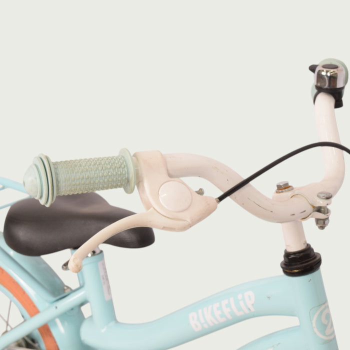 12.343 - BikeFlip