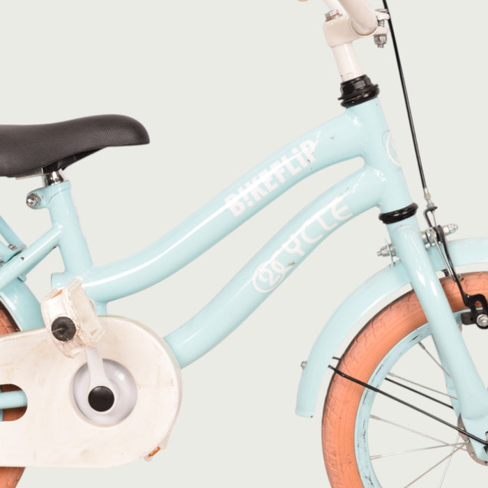 12.343 - BikeFlip