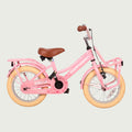14.111P - BikeFlip