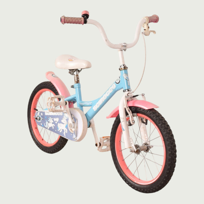 16.1023 kinderfiets - BikeFlip