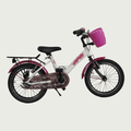 16.116 - BikeFlip