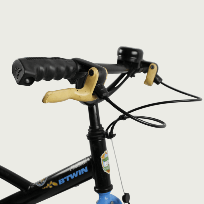 16.139 - BikeFlip