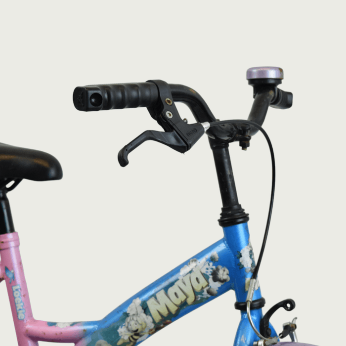 16.259 - BikeFlip