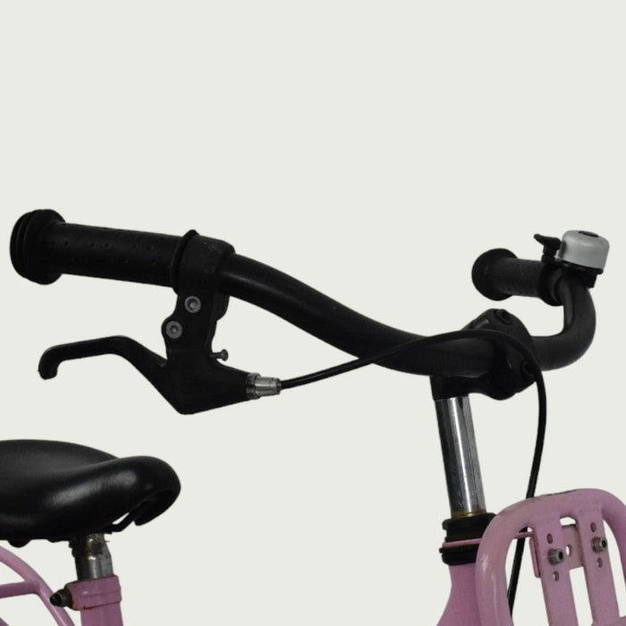 16.306 - BikeFlip