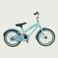 16.308 - BikeFlip