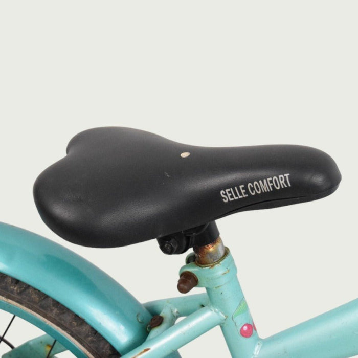 16.308 - BikeFlip