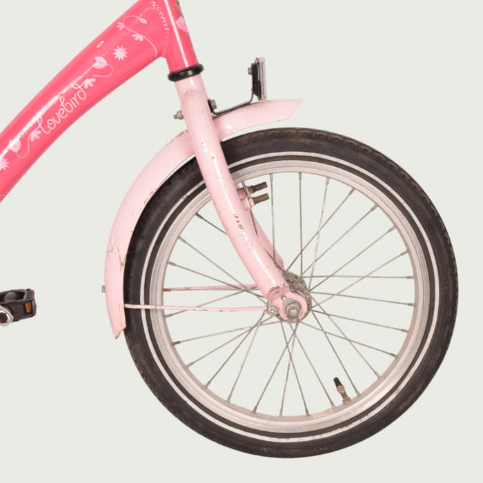 16.725 kinderfiets - BikeFlip