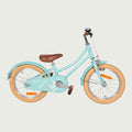 16.794 kinderfiets - BikeFlip