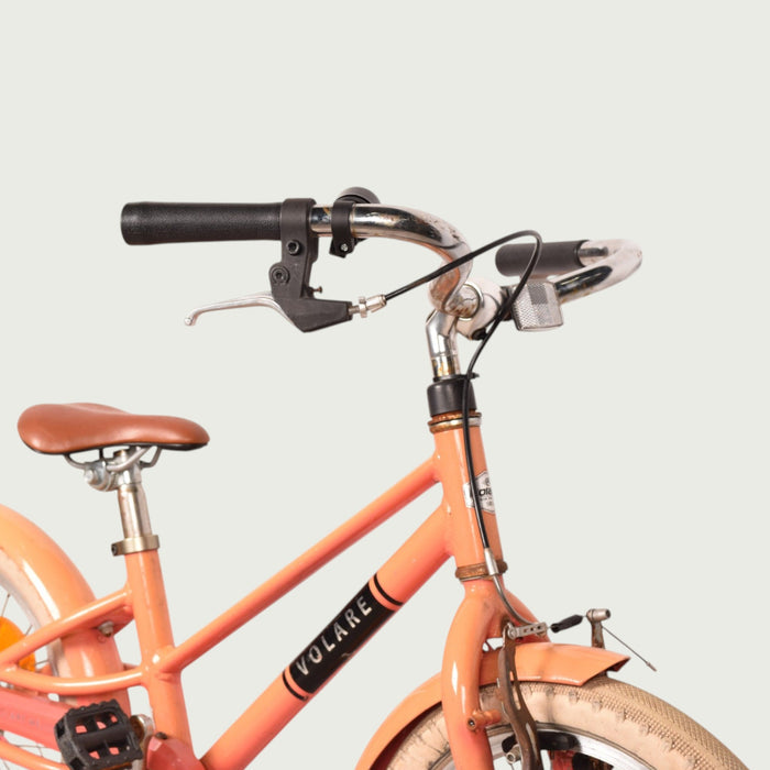 16.997 kinderfiets - BikeFlip