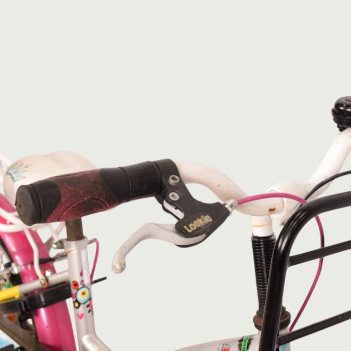 18.319 - BikeFlip