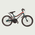 18.611 kinderfiets - BikeFlip
