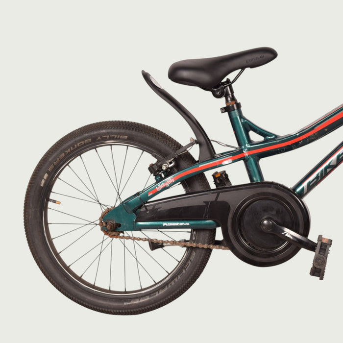 18.611 kinderfiets - BikeFlip