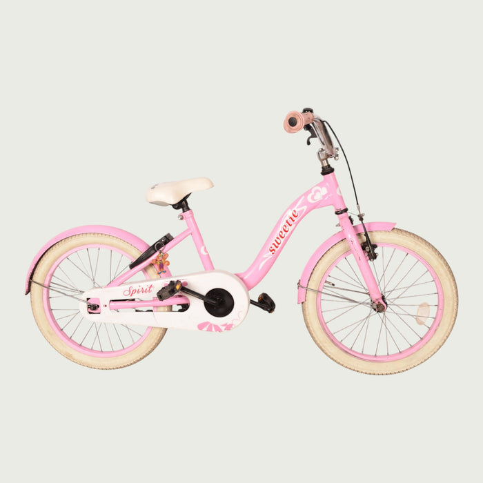 18.629 kinderfiets - BikeFlip