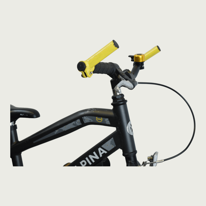 18.96 - BikeFlip