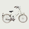 20.109 - BikeFlip