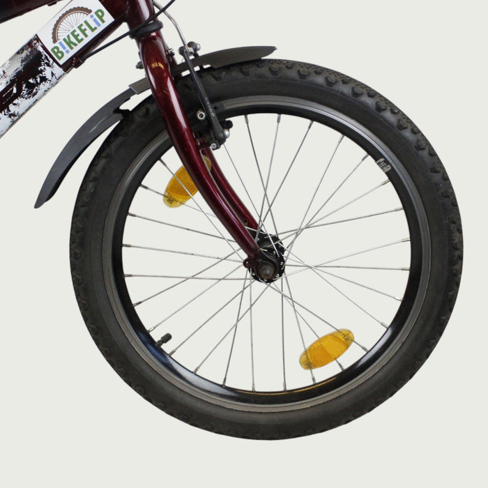 20.116 - BikeFlip