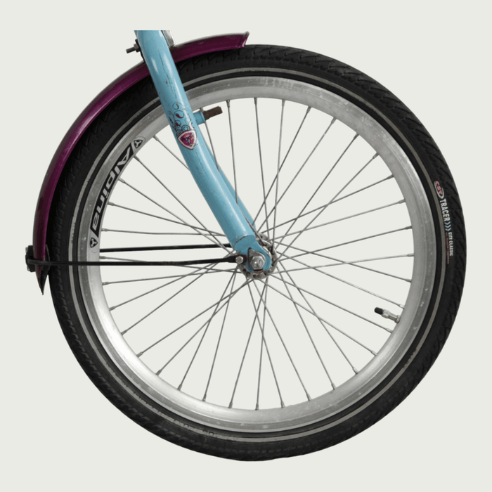 20.144 - BikeFlip
