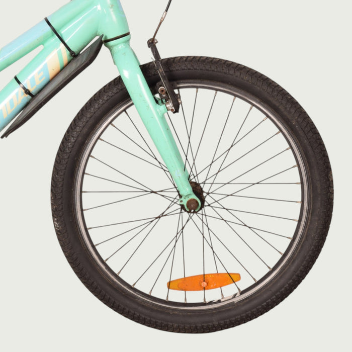 20.1913 kinderfiets - BikeFlip