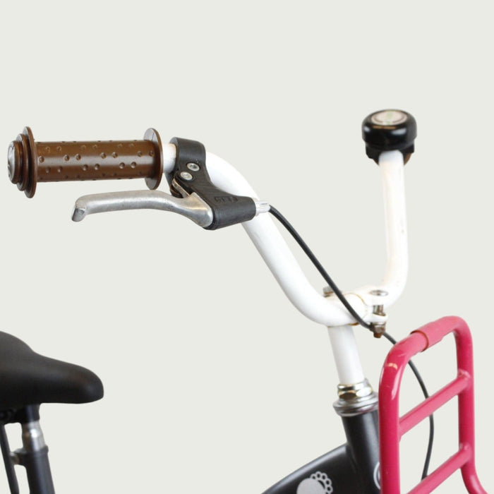 20.209 - BikeFlip