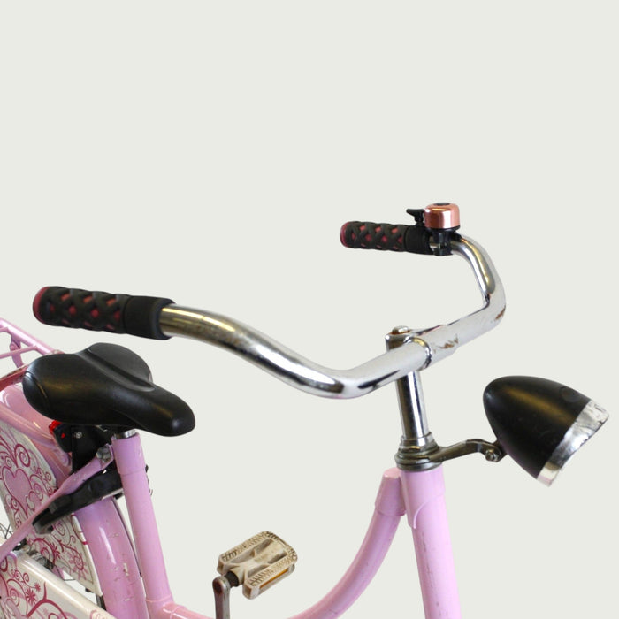20.234 - BikeFlip
