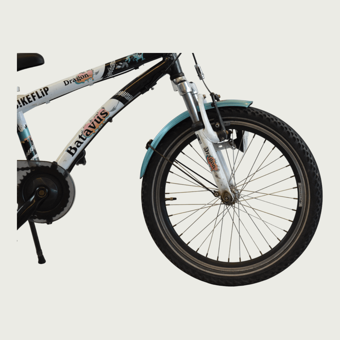 20.296 - BikeFlip