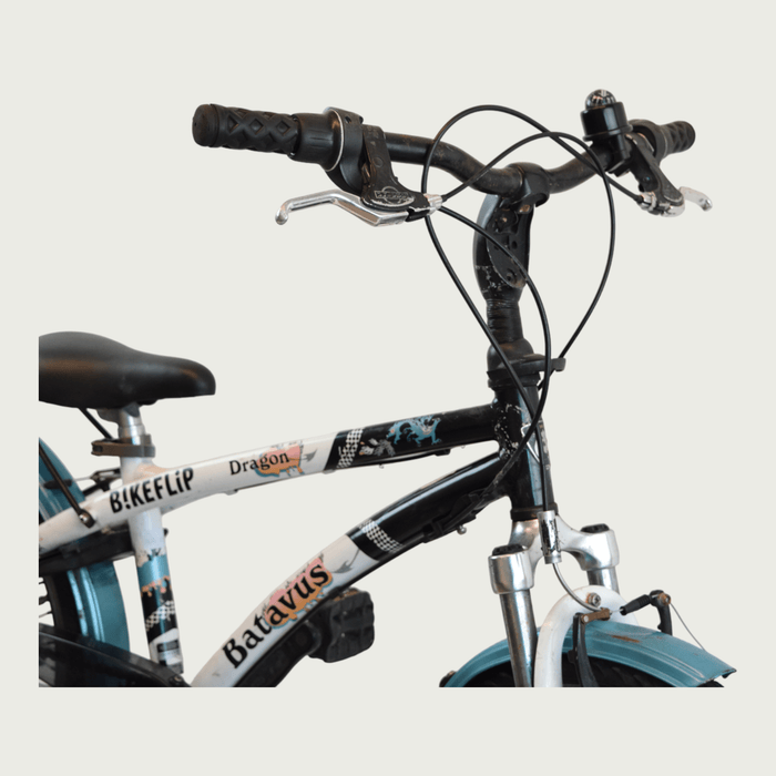 20.296 - BikeFlip