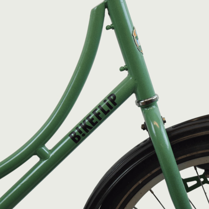 20.353 - BikeFlip