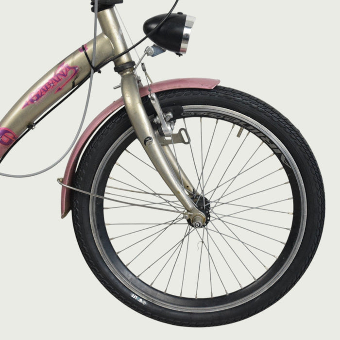 20.404 - BikeFlip