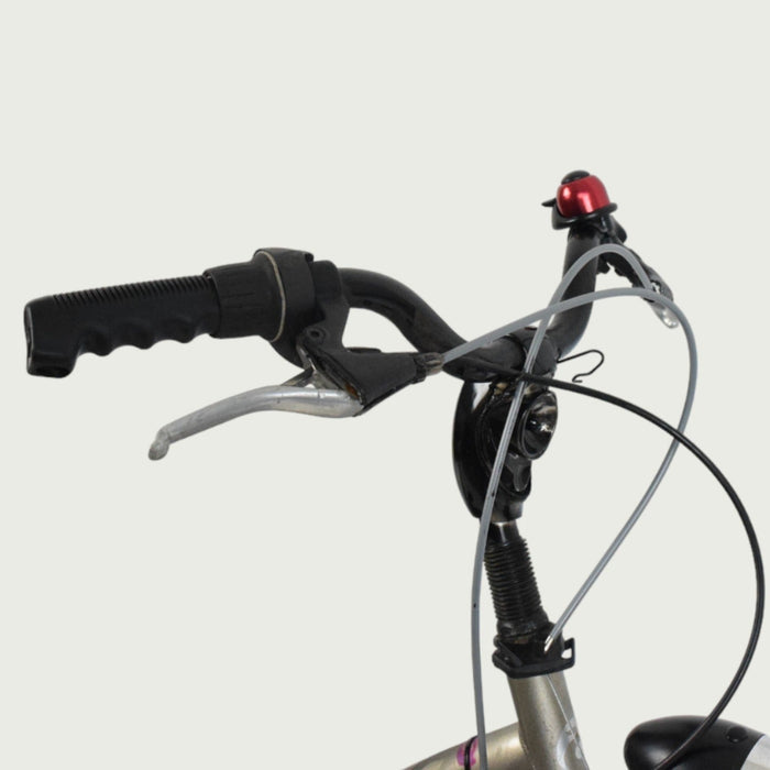 20.404 - BikeFlip