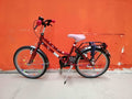 20.62 - BikeFlip