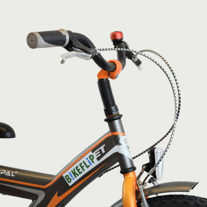 22.22 - BikeFlip