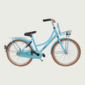 22.236 - BikeFlip