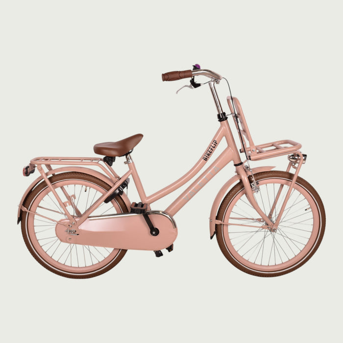 22.246P - BikeFlip