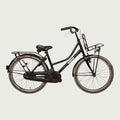 22.258 - BikeFlip