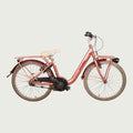 22.259 - BikeFlip