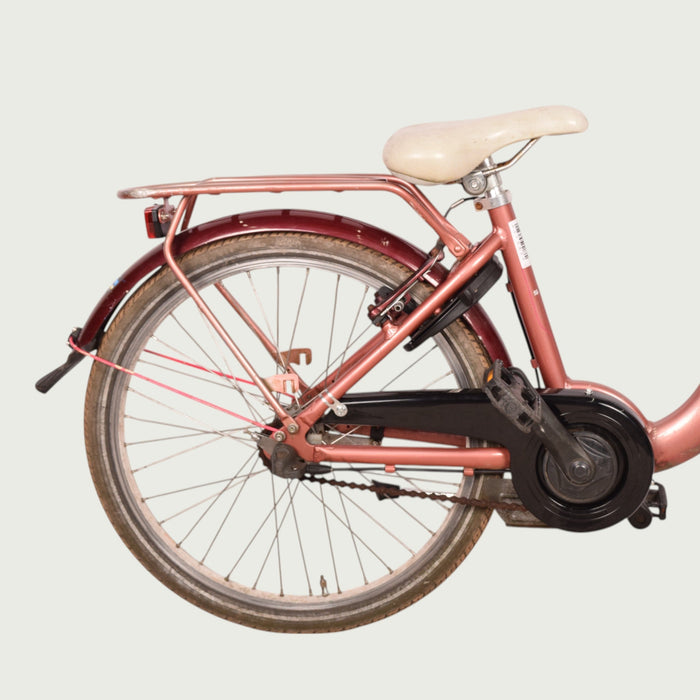 22.259 - BikeFlip