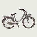 22.333 kinderfiets - BikeFlip