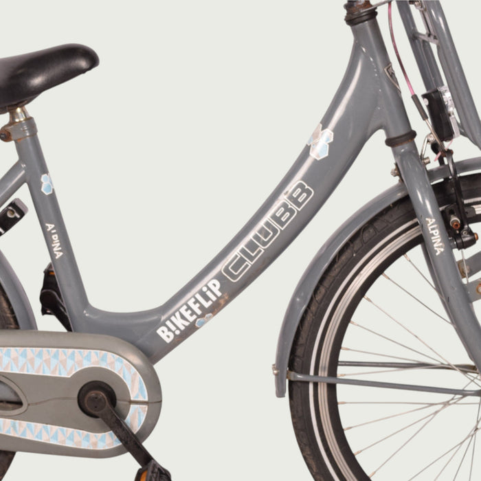 22.333 kinderfiets - BikeFlip