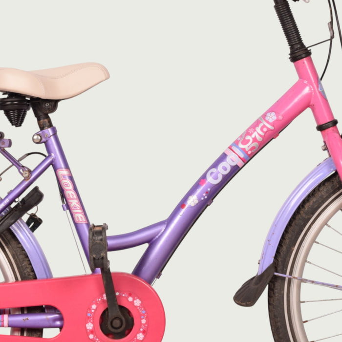 22.340 kinderfiets - BikeFlip