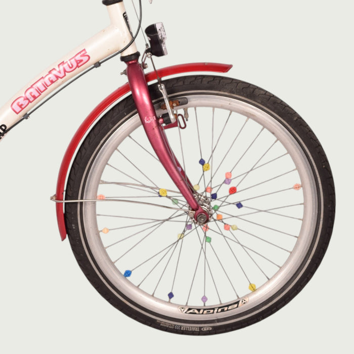 22.491 kinderfiets - BikeFlip