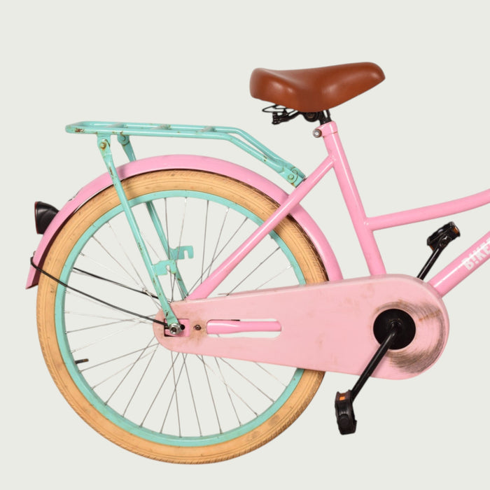 22.508 kinderfiets - BikeFlip