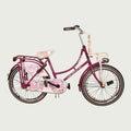 22.516 kinderfiets - BikeFlip