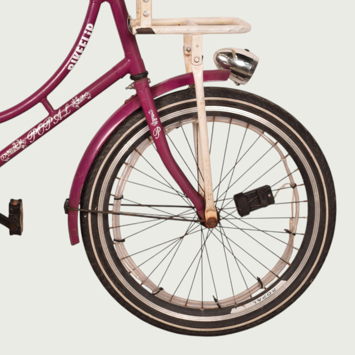 22.516 kinderfiets - BikeFlip