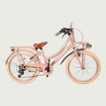 22.539 kinderfiets - BikeFlip