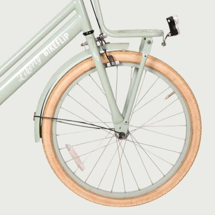 22.553 kinderfiets - BikeFlip