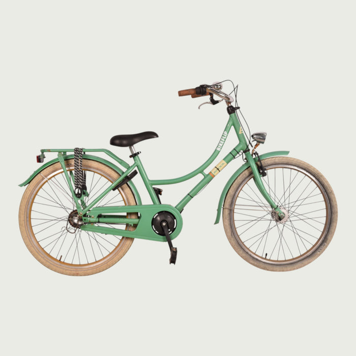 24.1289 - BikeFlip