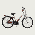 24.142 - BikeFlip